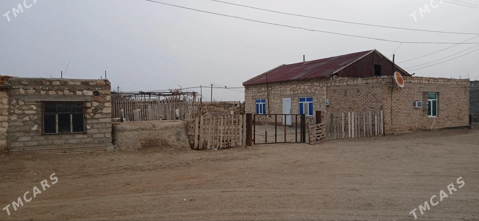 jay satlyk - Балканабат - img 2