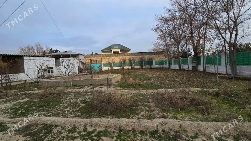 Satlyk jay - Анев - img 3