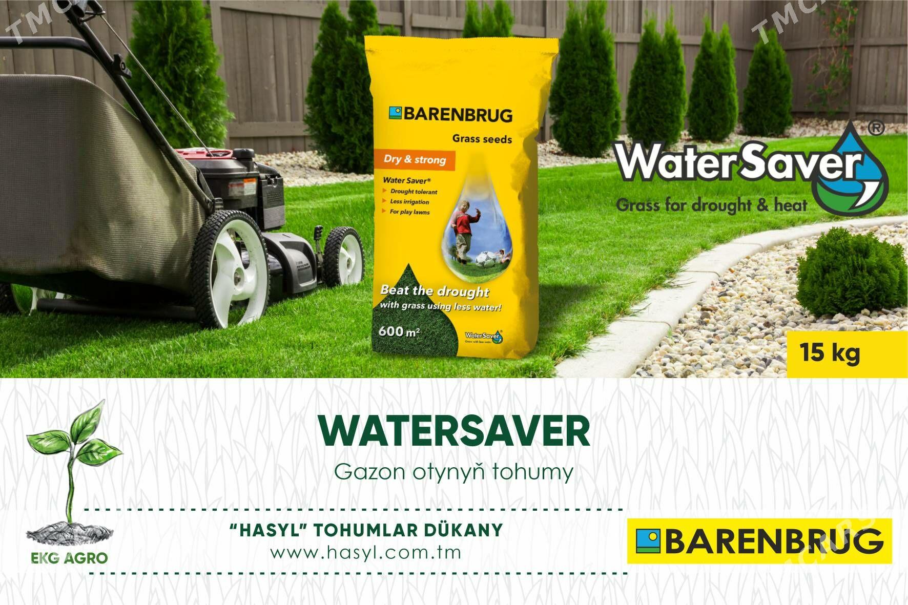 EKG ARGO - Ашхабад - img 4