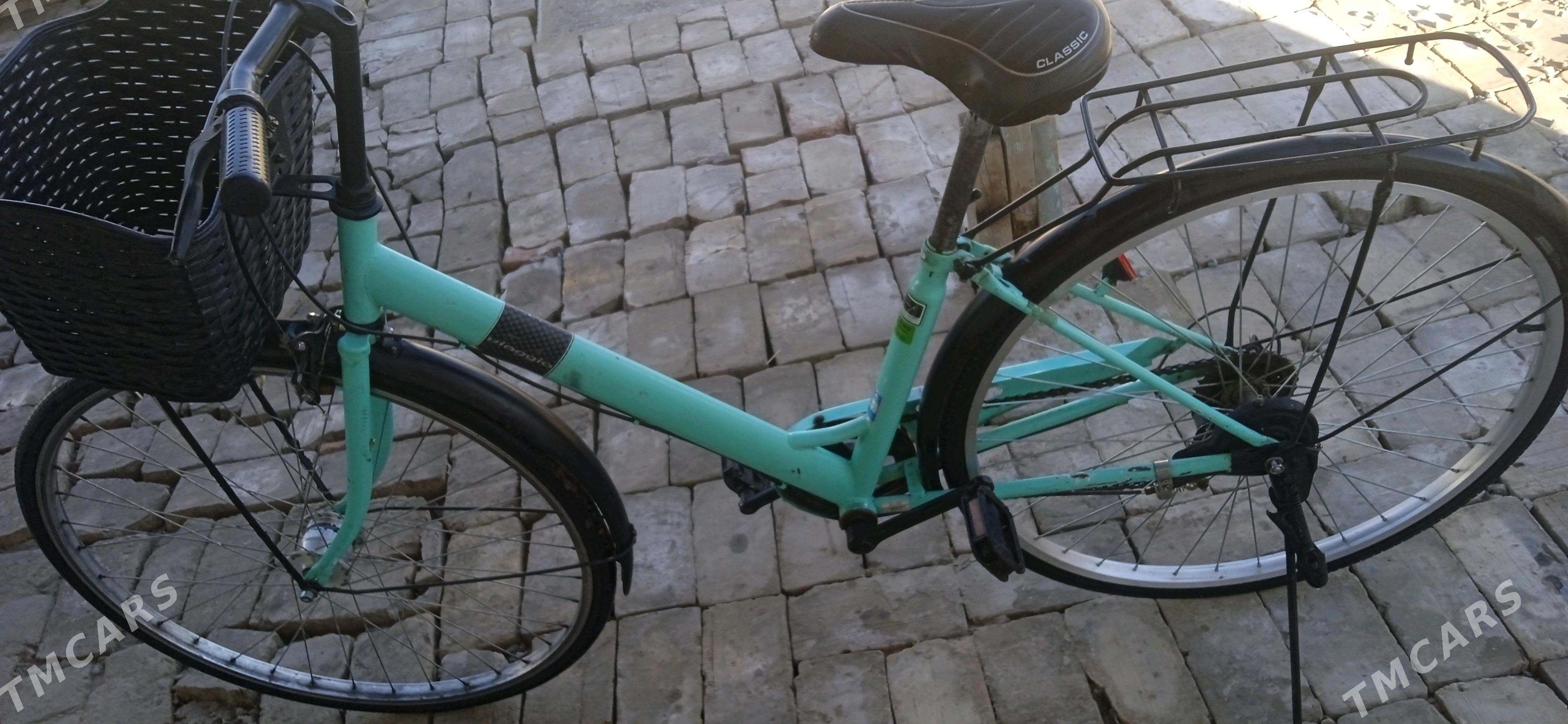 welsepet - Векильбазар - img 3