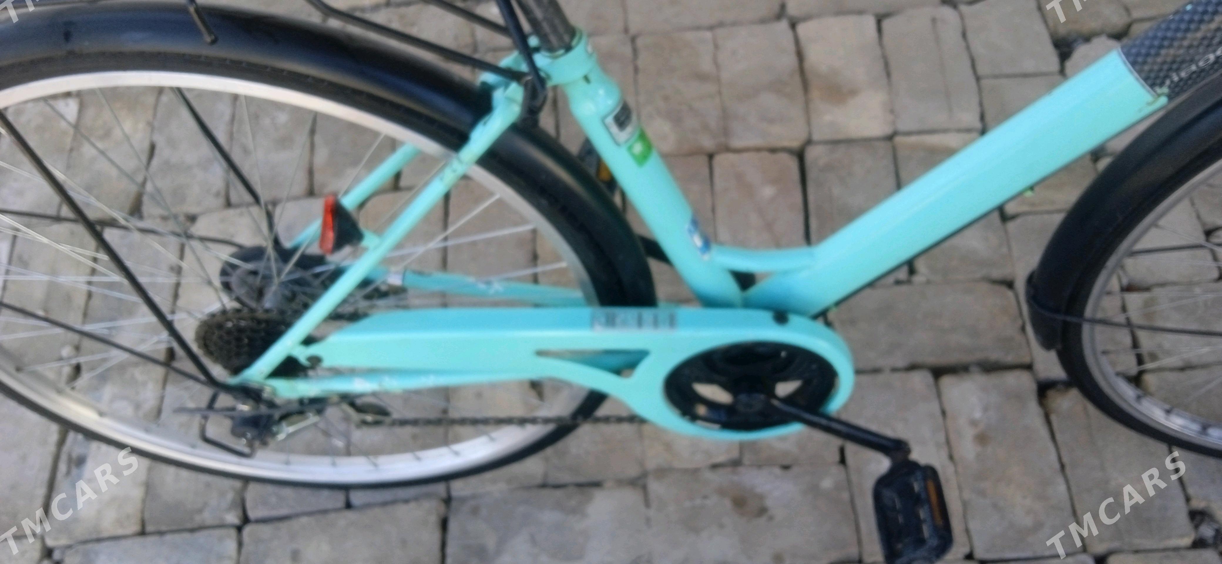 welsepet - Векильбазар - img 2