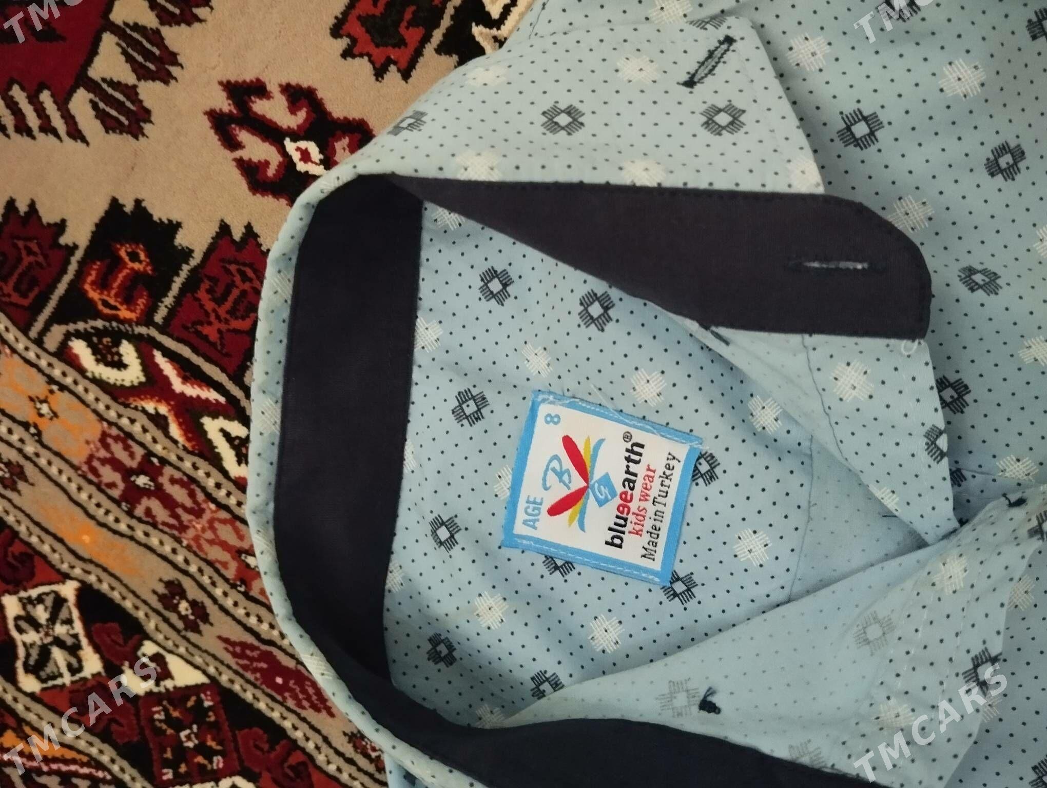 koynek - Jebel - img 2