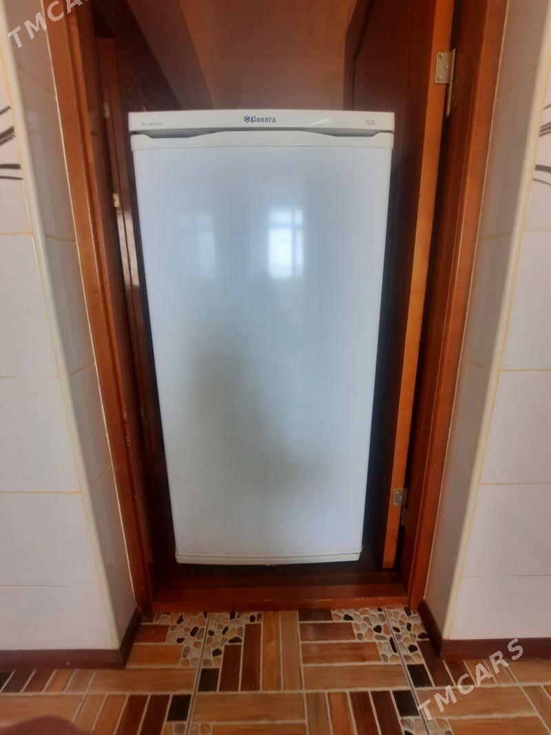 Холодильник" СВИЯГА' - Mary - img 1