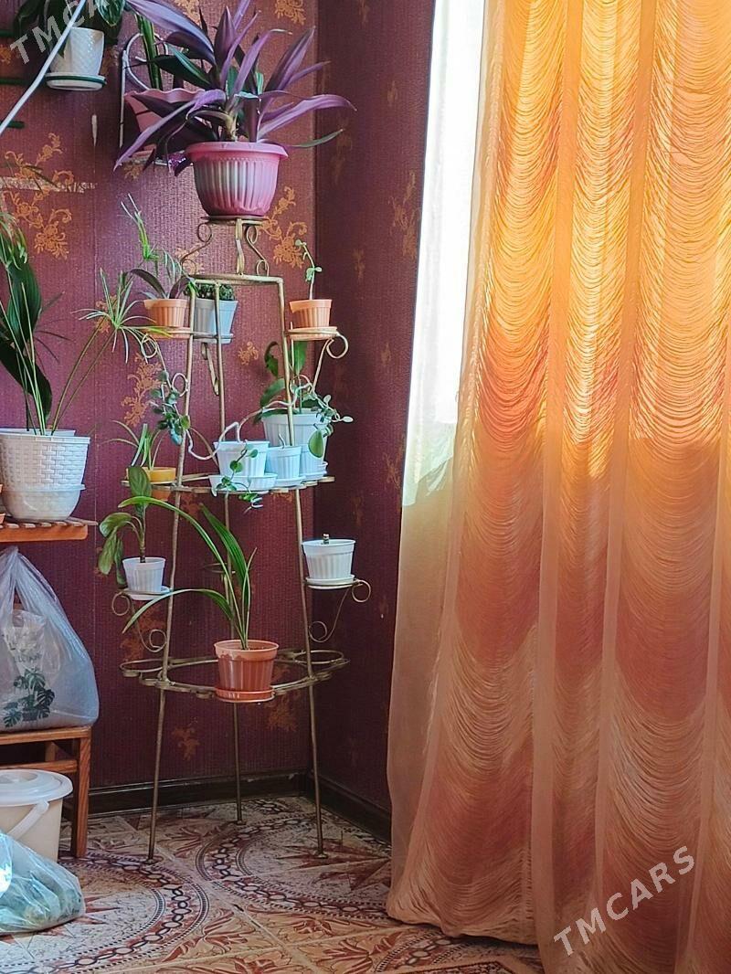 Подцветочник - Büzmeýin GRES - img 1