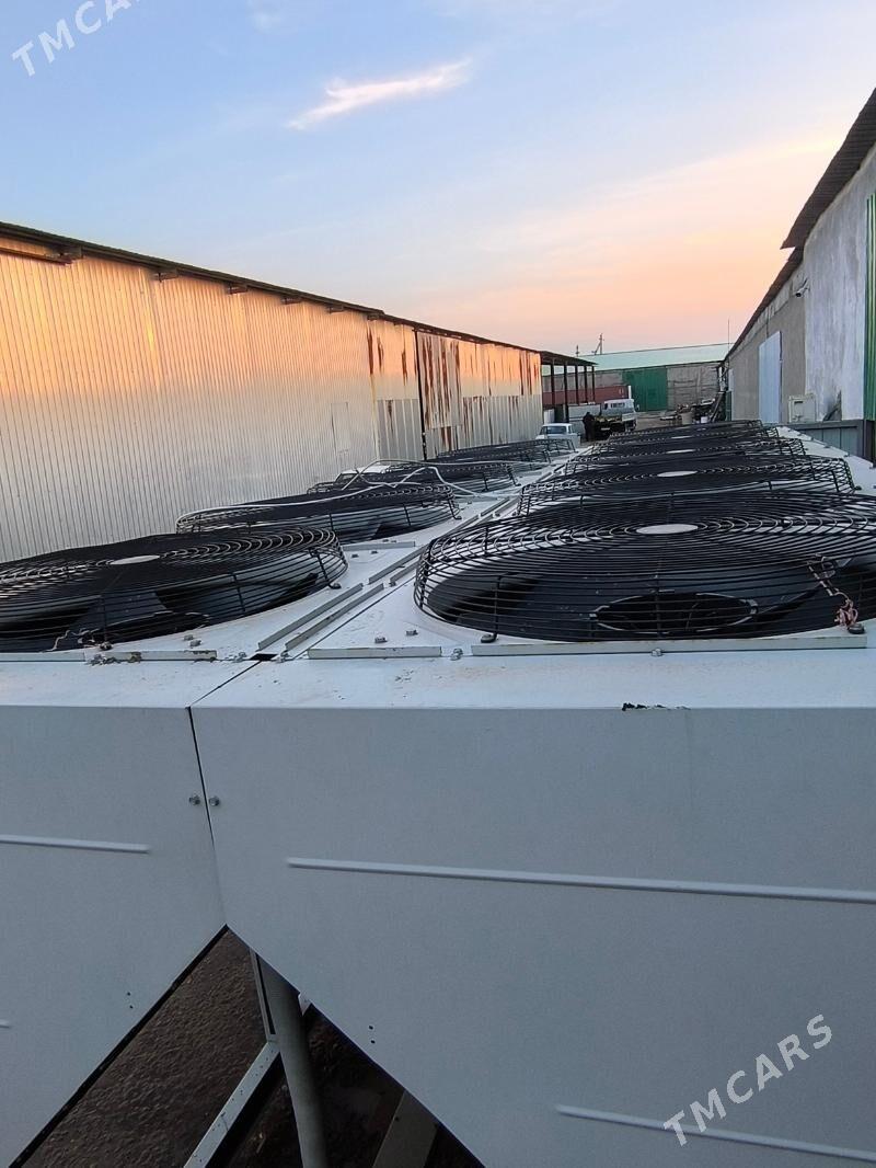 ciller - Ашхабад - img 7