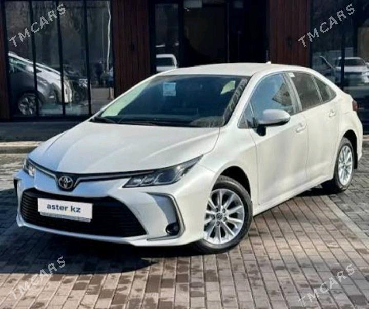 suruji - Ашхабад - img 2