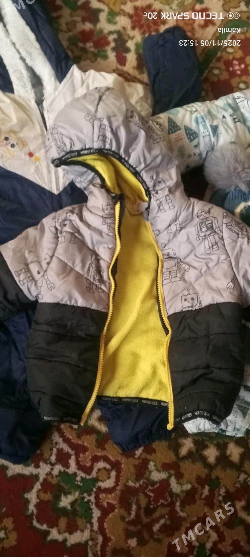 kambinzon kurka - Daşoguz - img 4