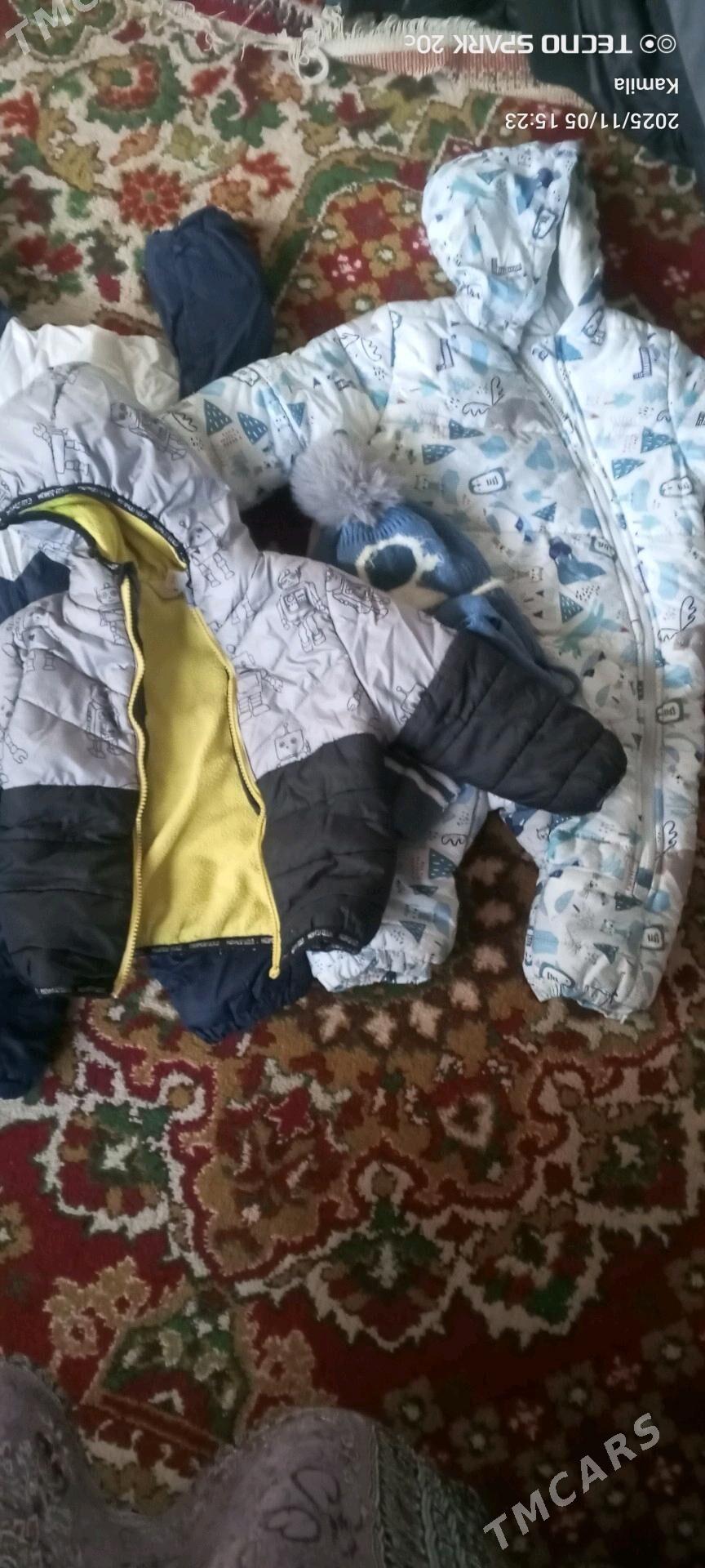 kambinzon kurka - Daşoguz - img 3