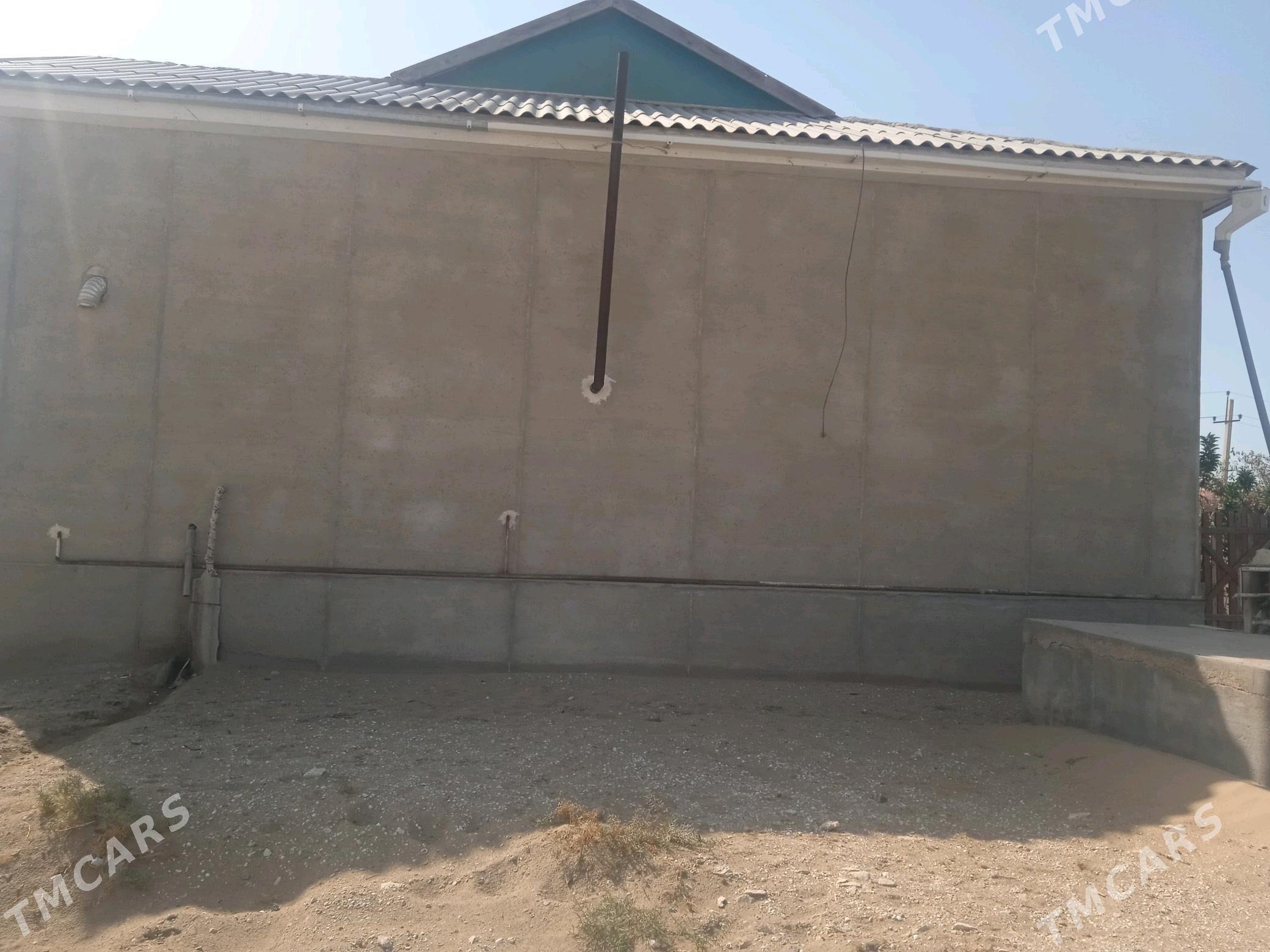 jay - Эсенгулы - img 1