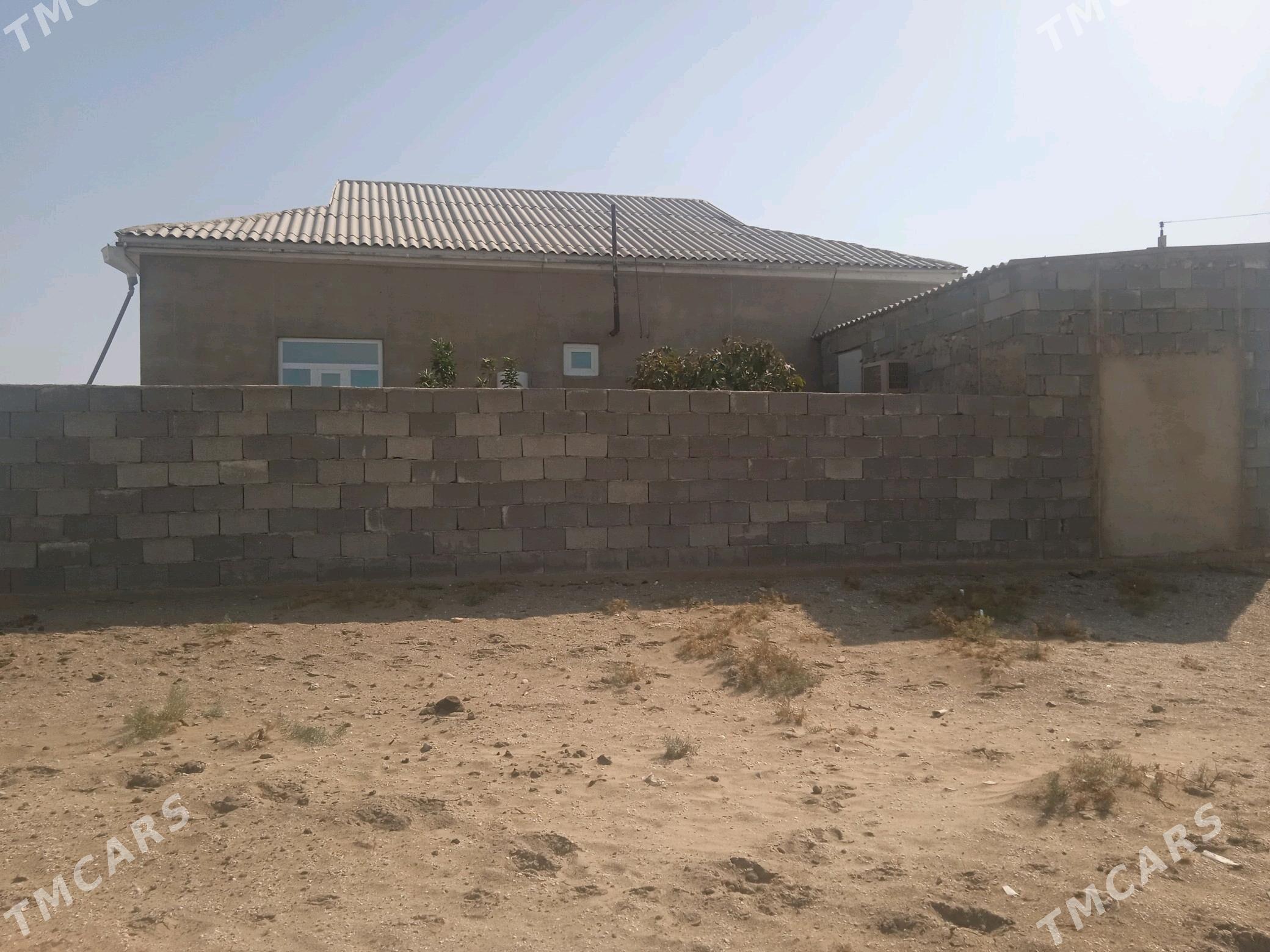 jay - Эсенгулы - img 2