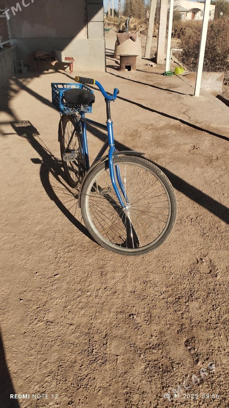 tigir - Gubadag - img 3