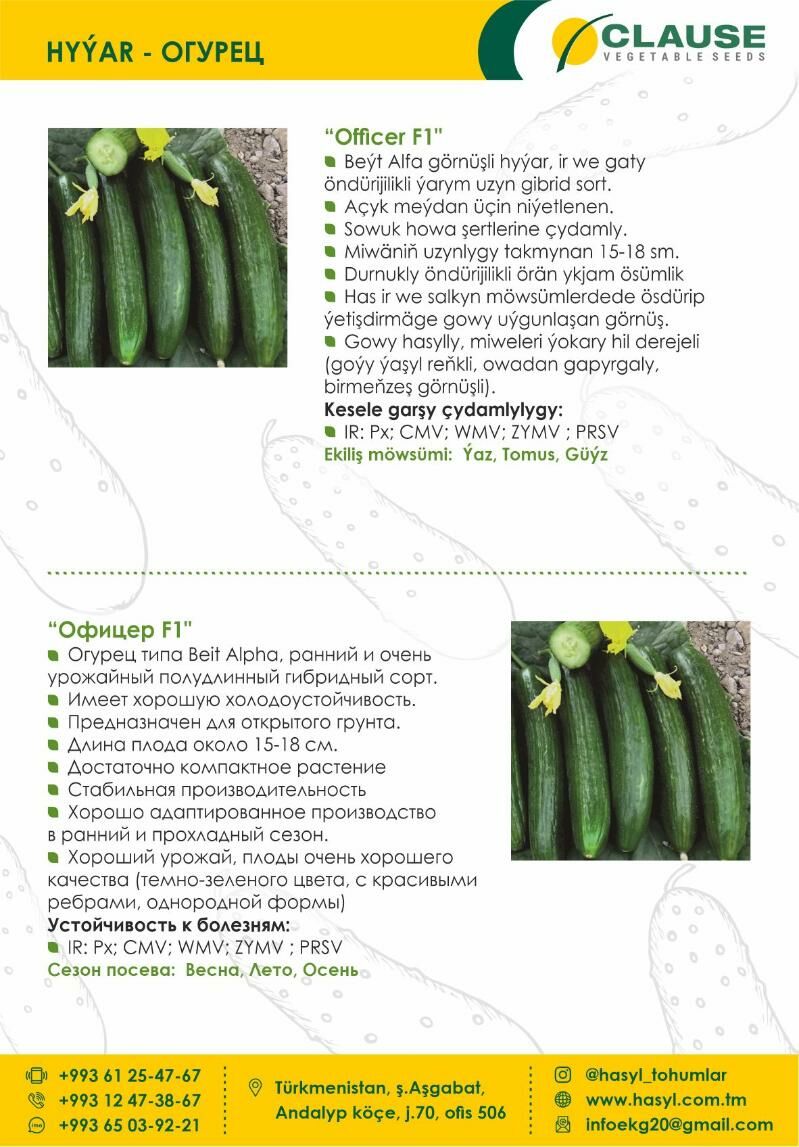 EKG ARGO - Ашхабад - img 10