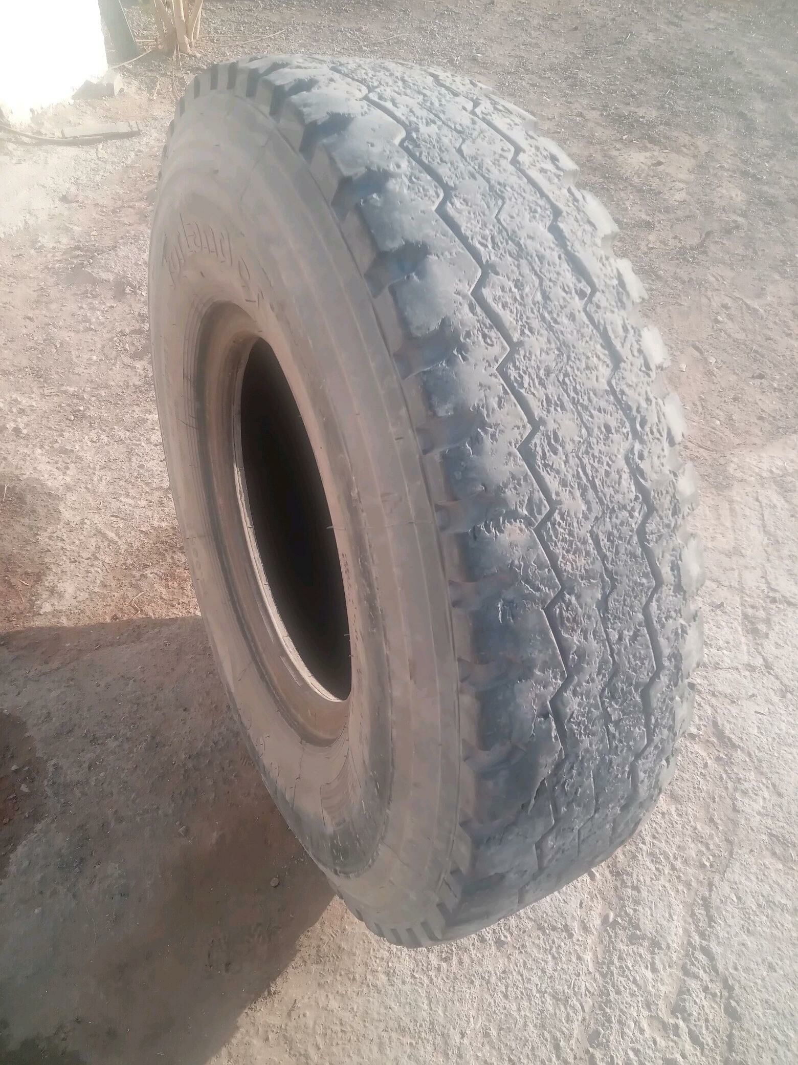 Maz 12 teker 600 TMT - Köşi - img 2