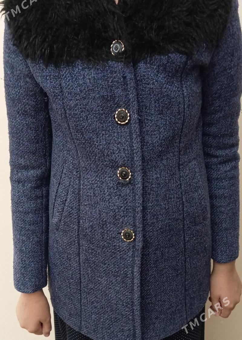 palto - Jebel - img 2