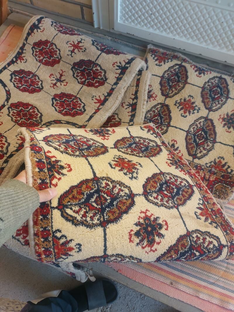 haly kowrik cehol 250 TMT - Mary - img 2