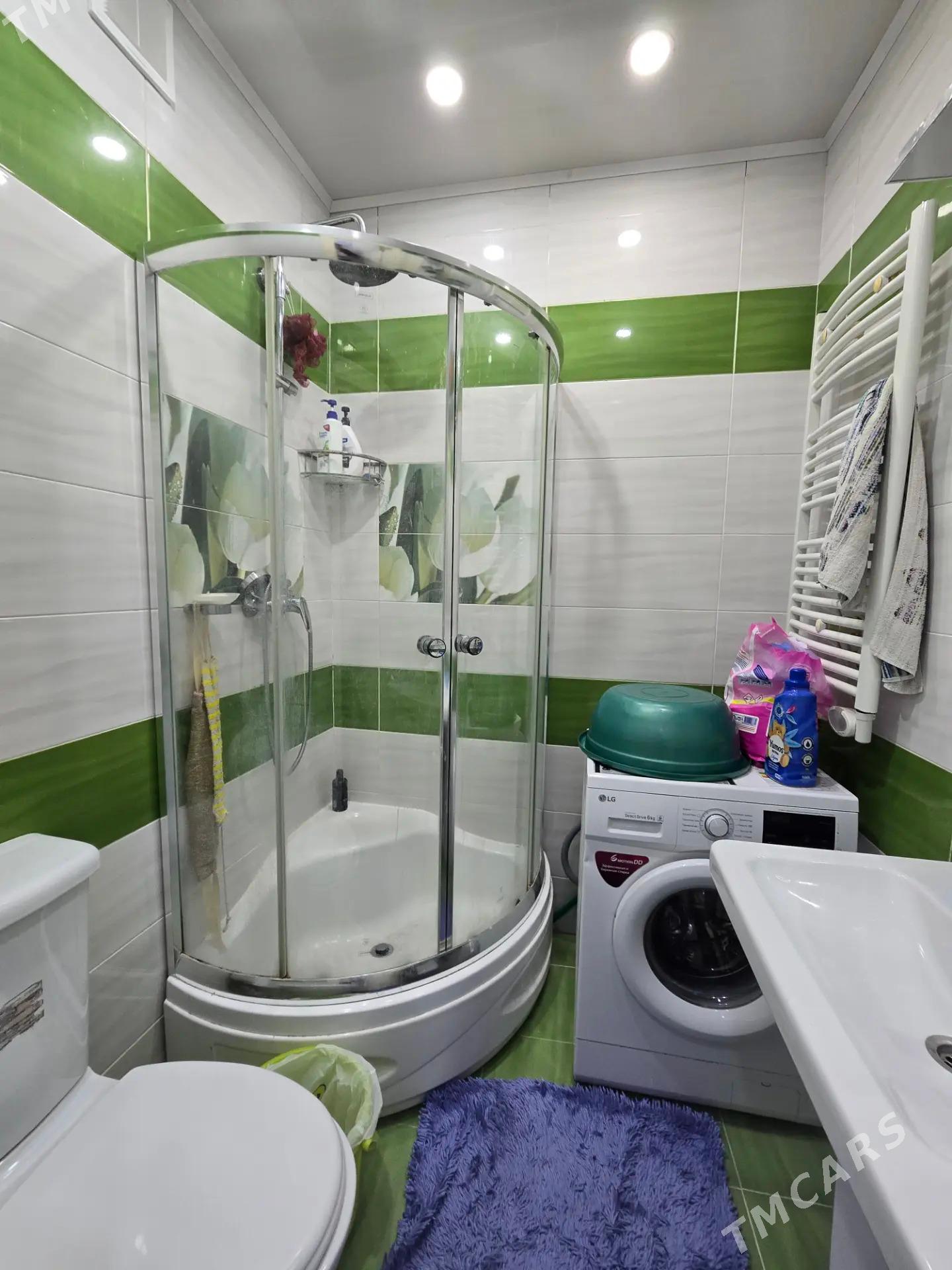 Гаудан В - Гаудан "В" - img 10