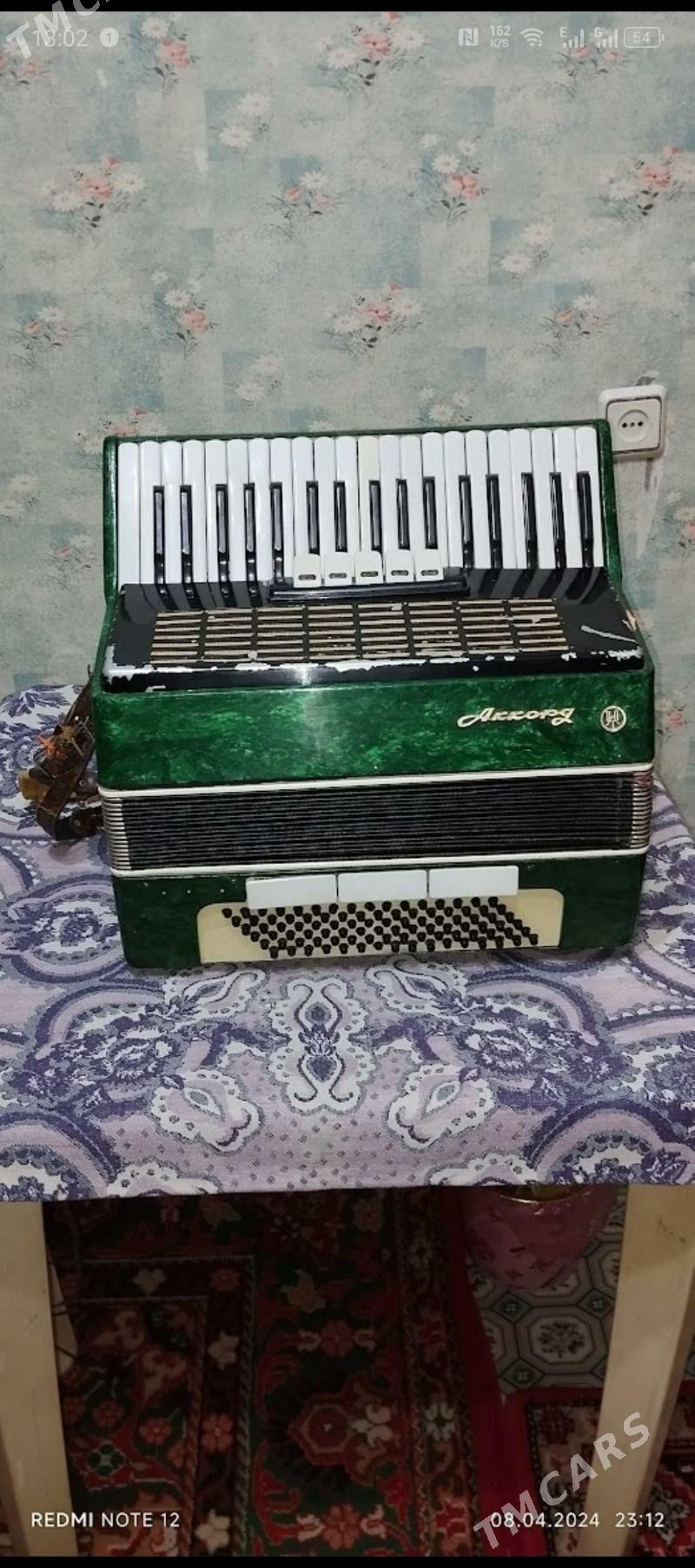 akardeon - Мары - img 2