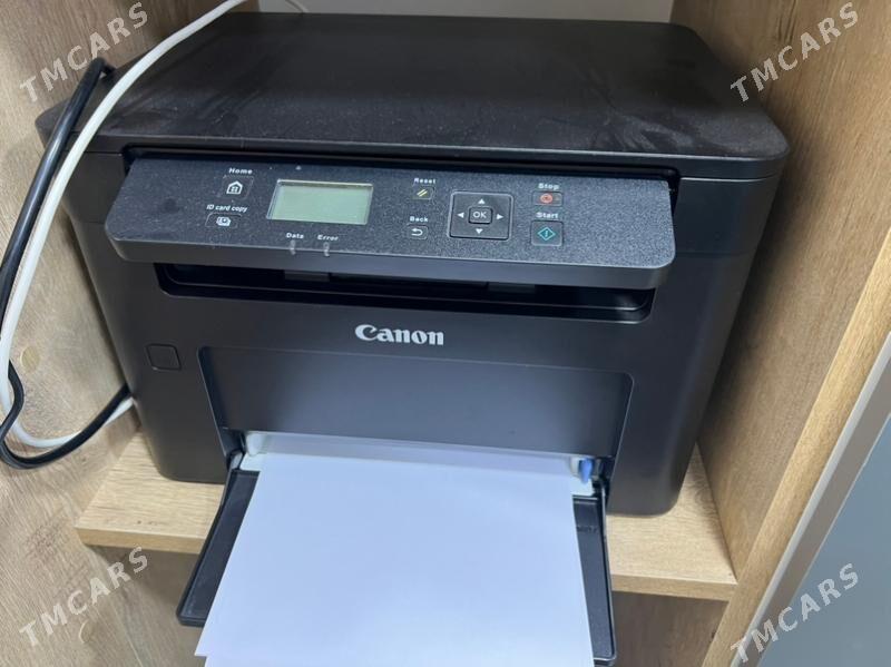 Cannon - Türkmenbaşy - img 2