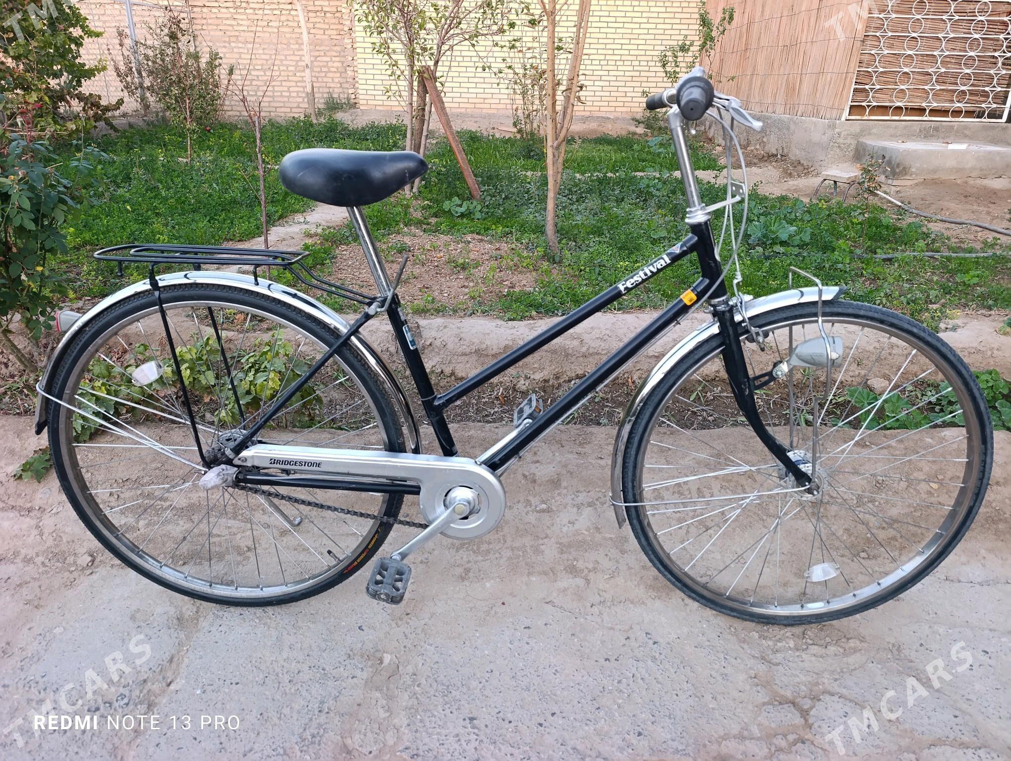 Panasonic 27 velik Japan - Mary - img 1