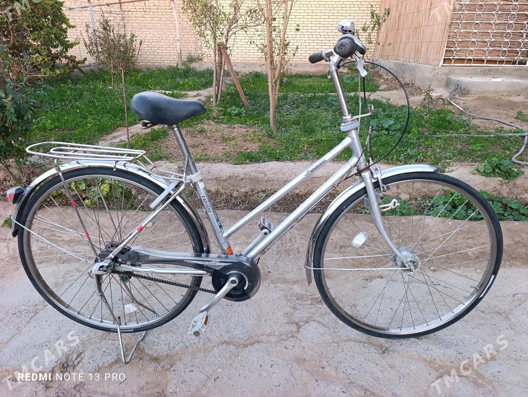 Panasonic 27 velik Japan - Mary - img 2