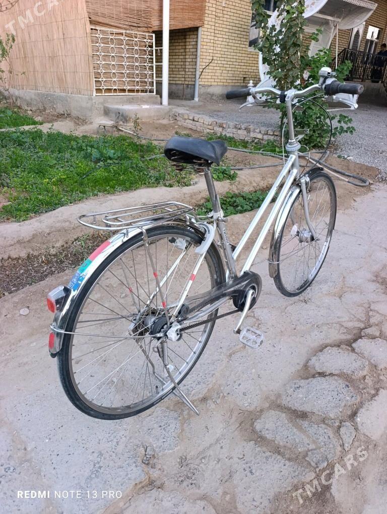 Panasonic 27 velik Japan - Mary - img 7