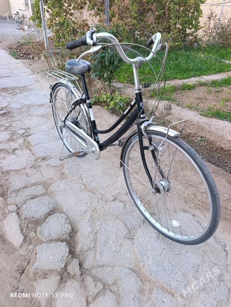 Panasonic 27 velik Japan - Mary - img 6