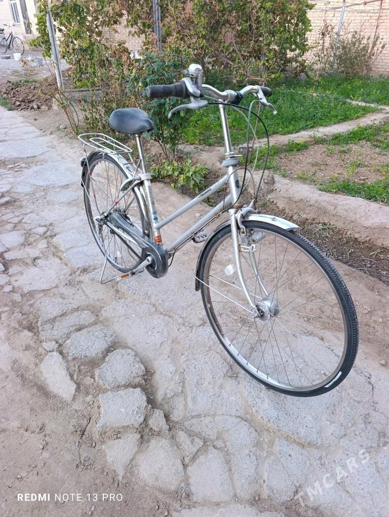 Panasonic 27 velik Japan - Mary - img 5