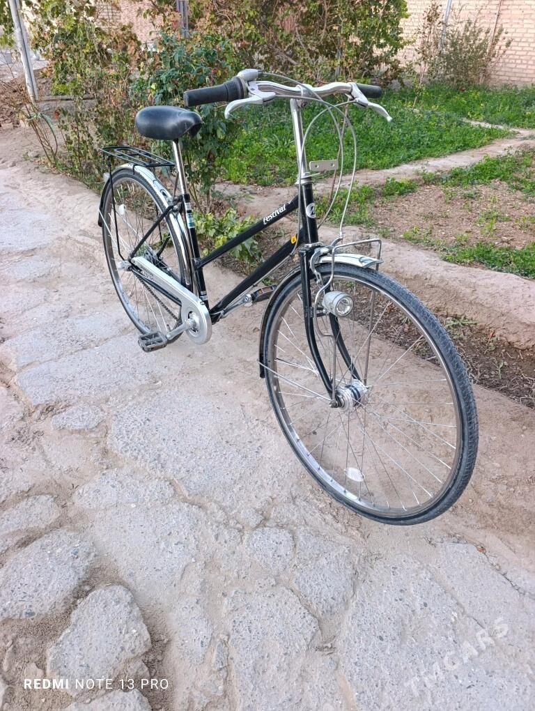 Panasonic 27 velik Japan - Mary - img 4