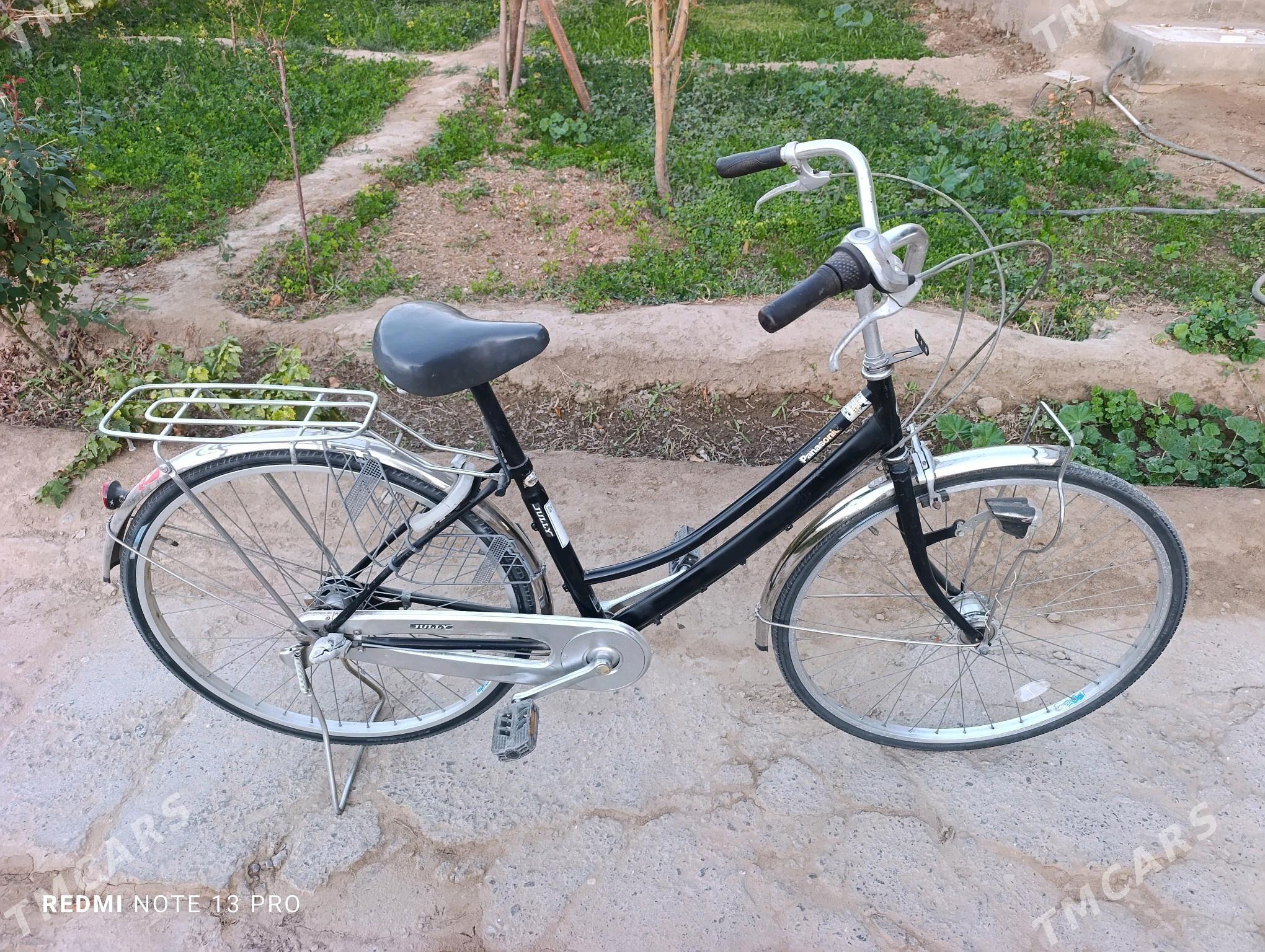 Panasonic 27 velik Japan - Mary - img 10