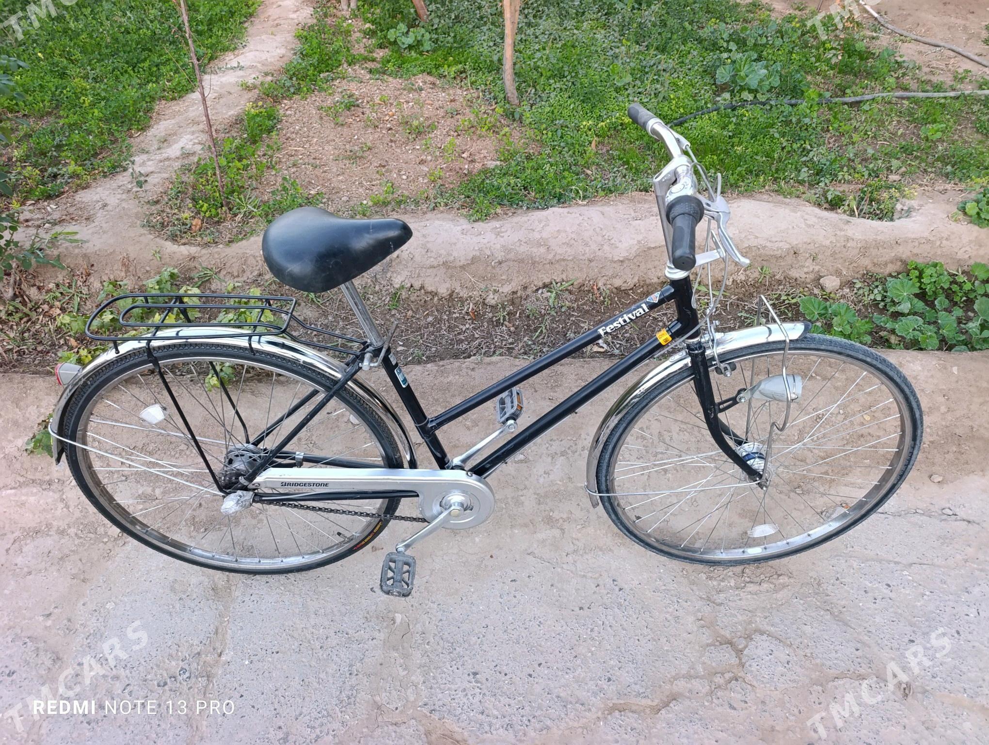 Panasonic 27 velik Japan - Mary - img 9