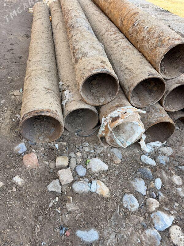 Coyun turba 400lik - Baýramaly - img 2