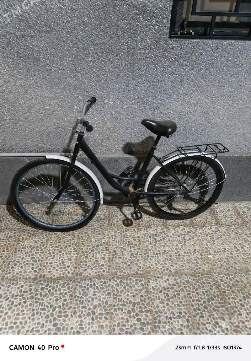 tigir - Анев - img 6