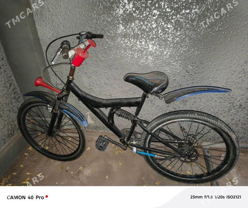 tigir - Анев - img 3