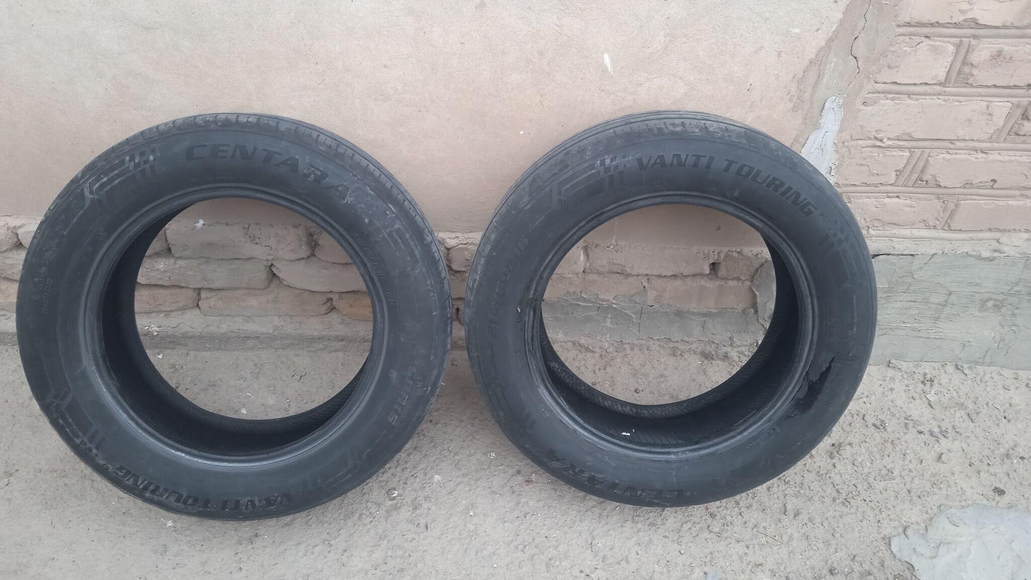 Teker 250 TMT - Гороглы (Тагта) - img 2