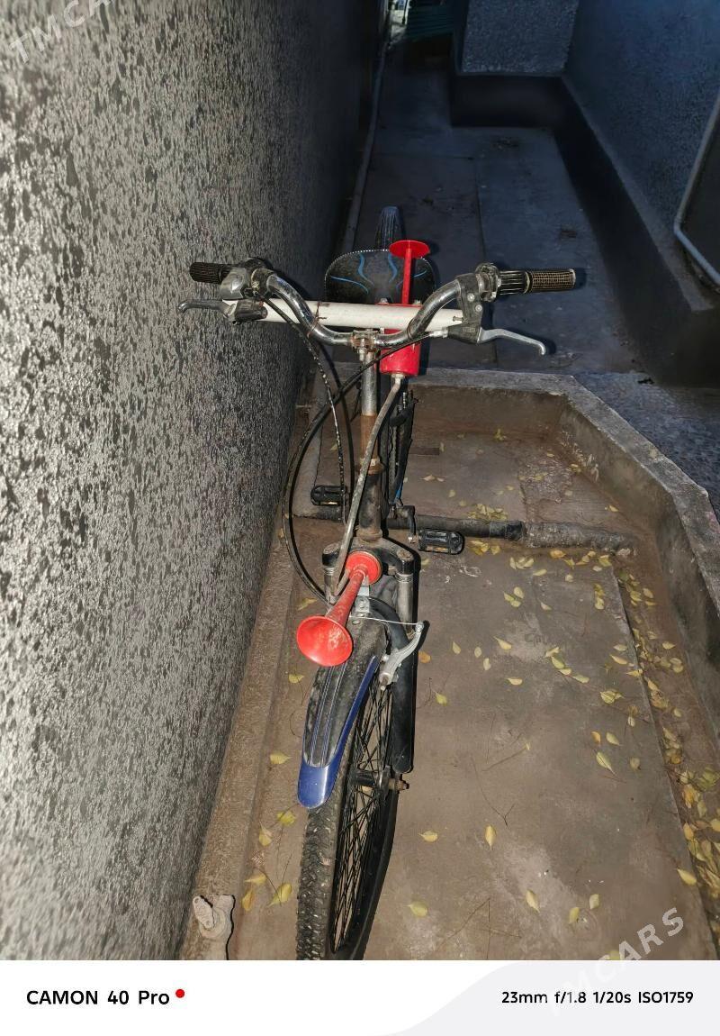 tigir - Анев - img 1