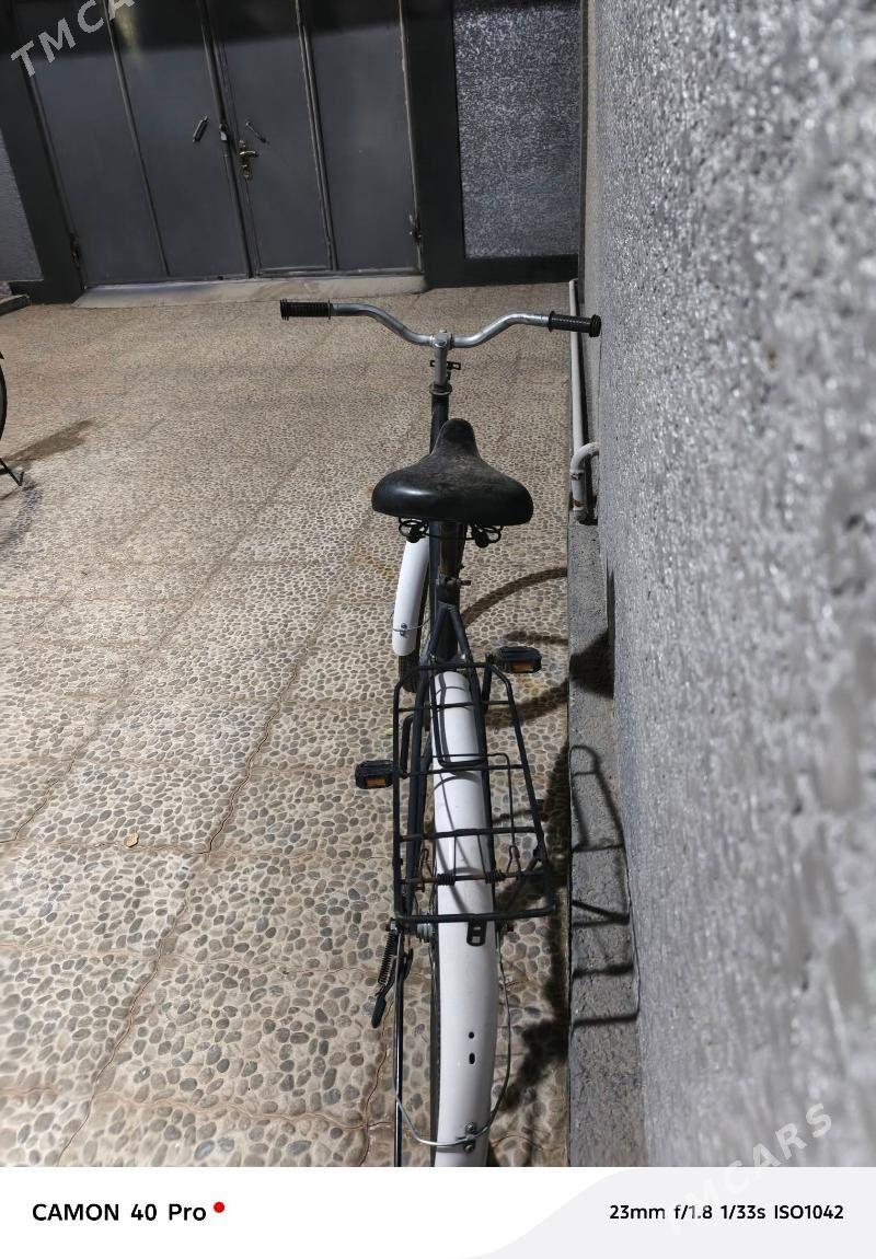 tigir - Анев - img 4