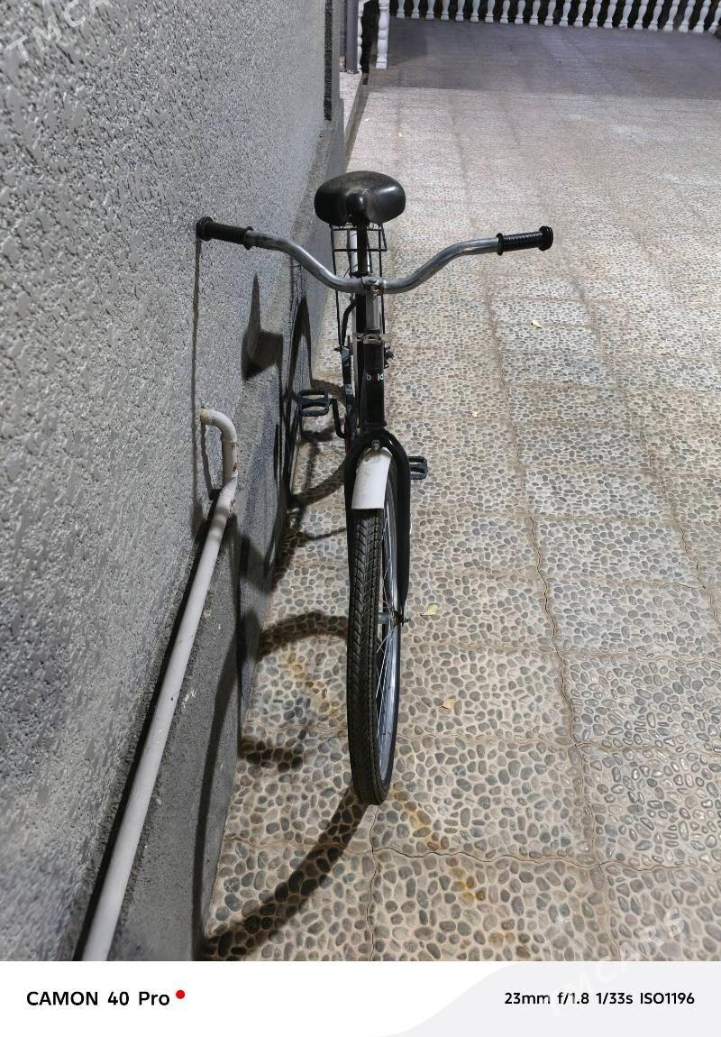 tigir - Анев - img 5