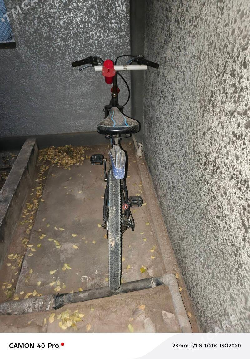 tigir - Анев - img 2