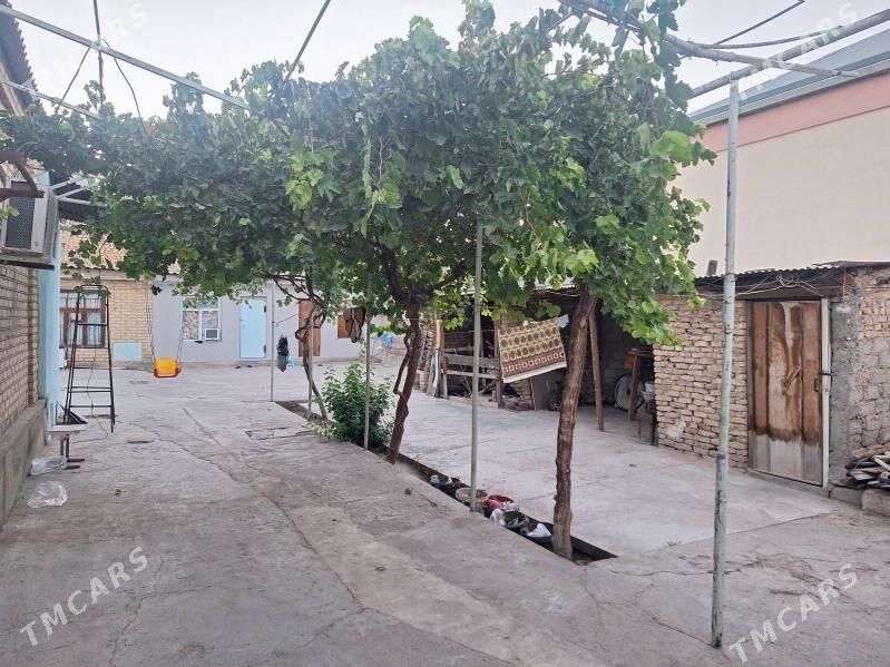 sor garadamak jay - Гарадамак Шор - img 6