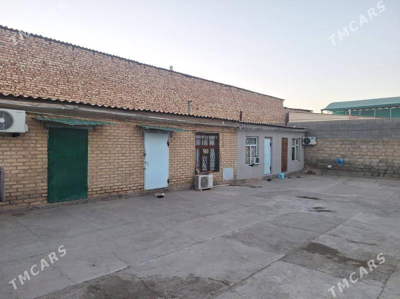 sor garadamak jay - Гарадамак Шор - img 3