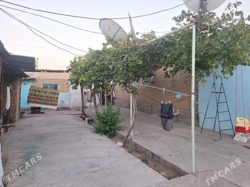 sor garadamak jay - Гарадамак Шор - img 5