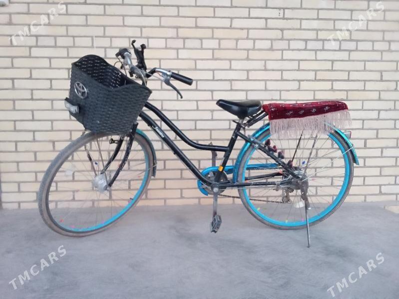 Tigir 26 - Sakarçäge - img 2