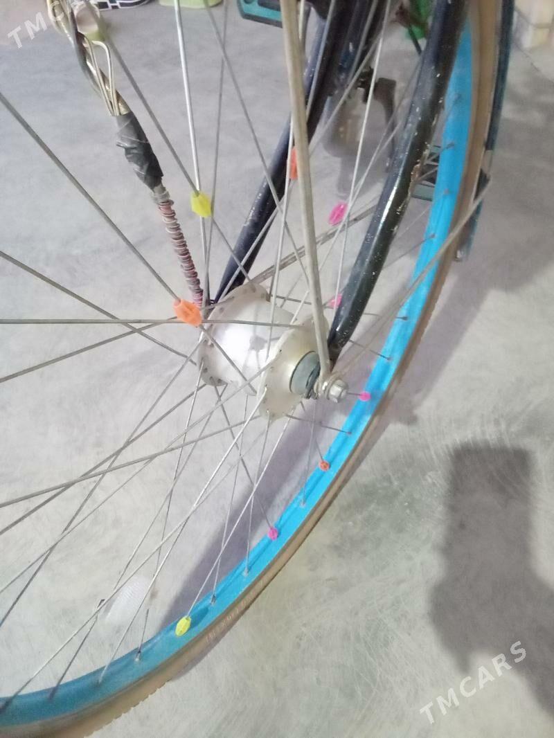 Tigir 26 - Sakarçäge - img 3