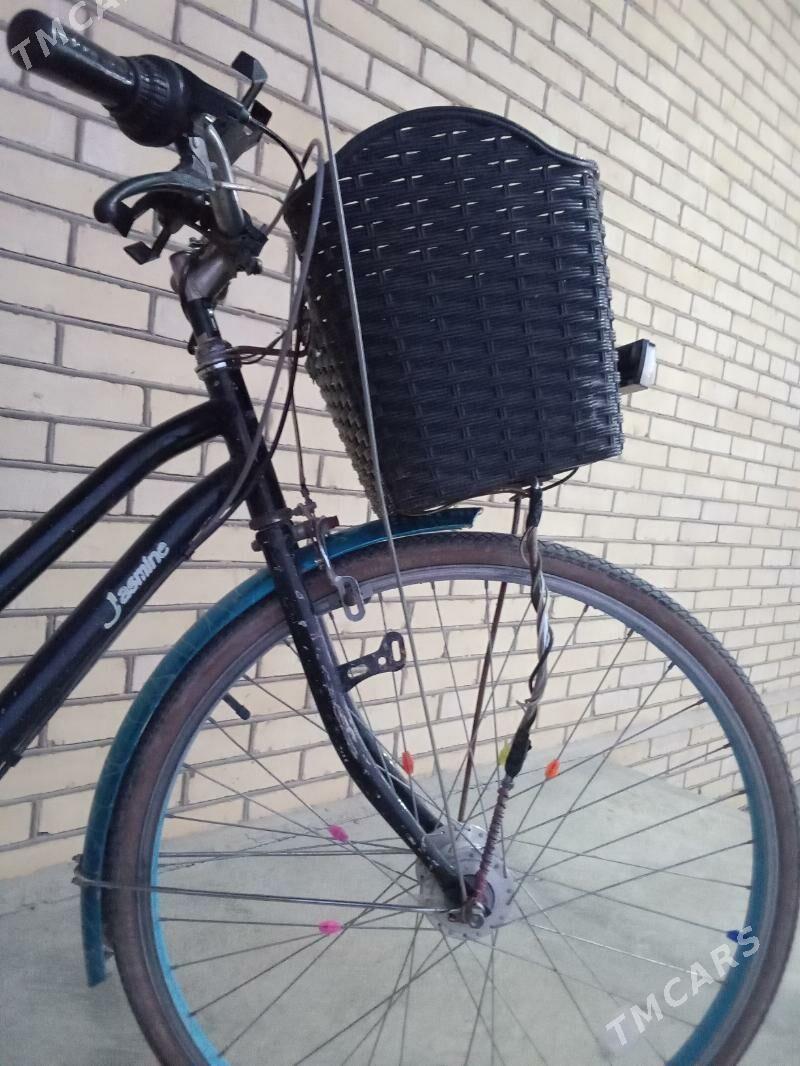 Tigir 26 - Sakarçäge - img 5