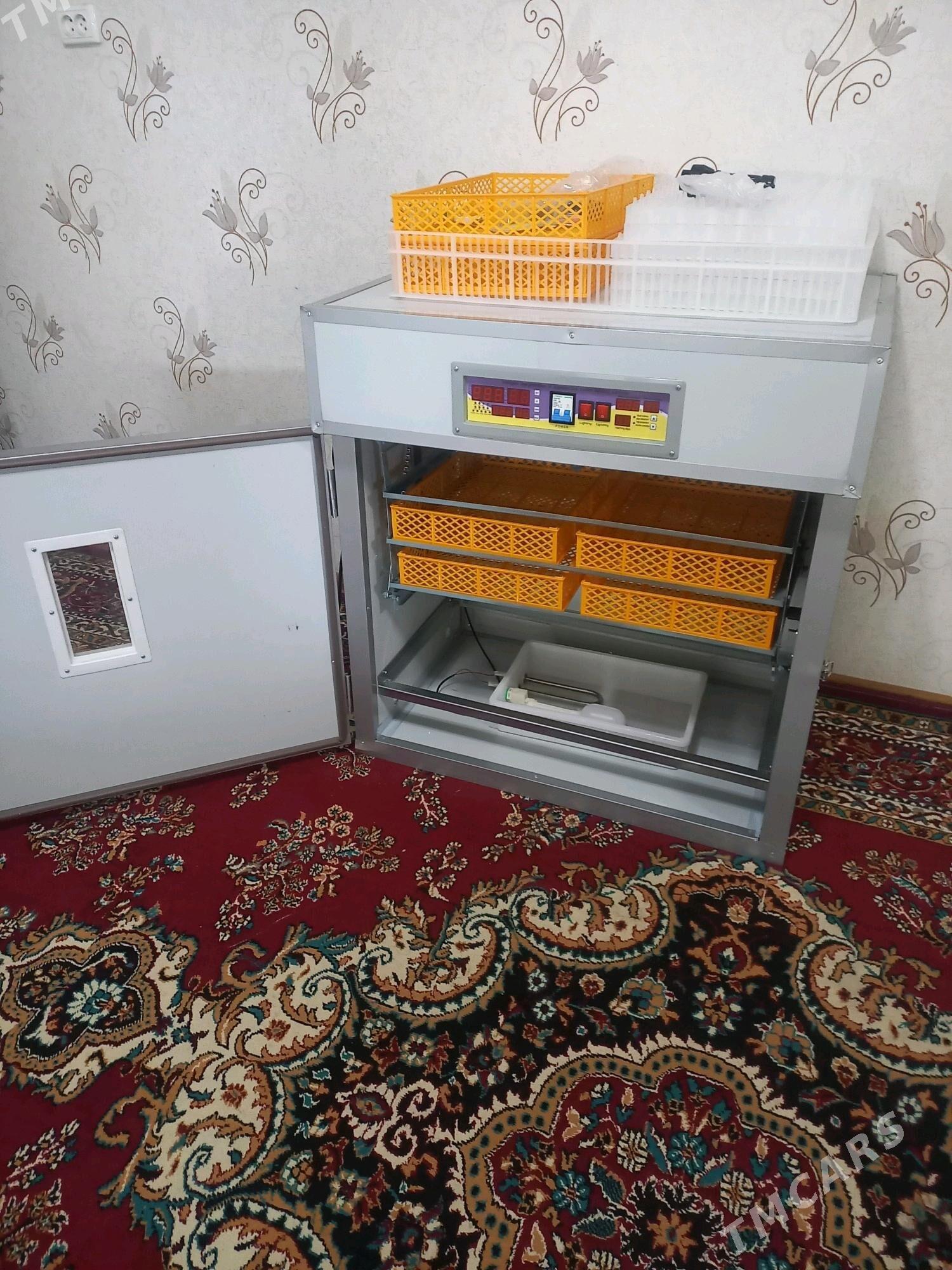 inkubator zawodskoy - Мары - img 1