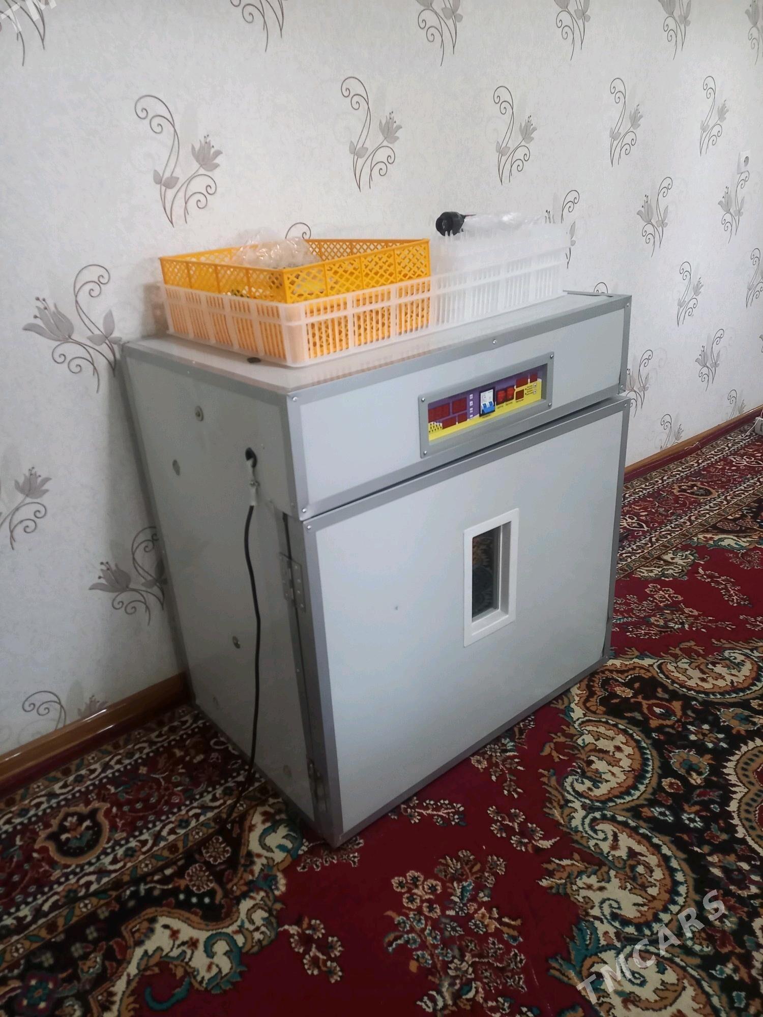 inkubator zawodskoy - Мары - img 2