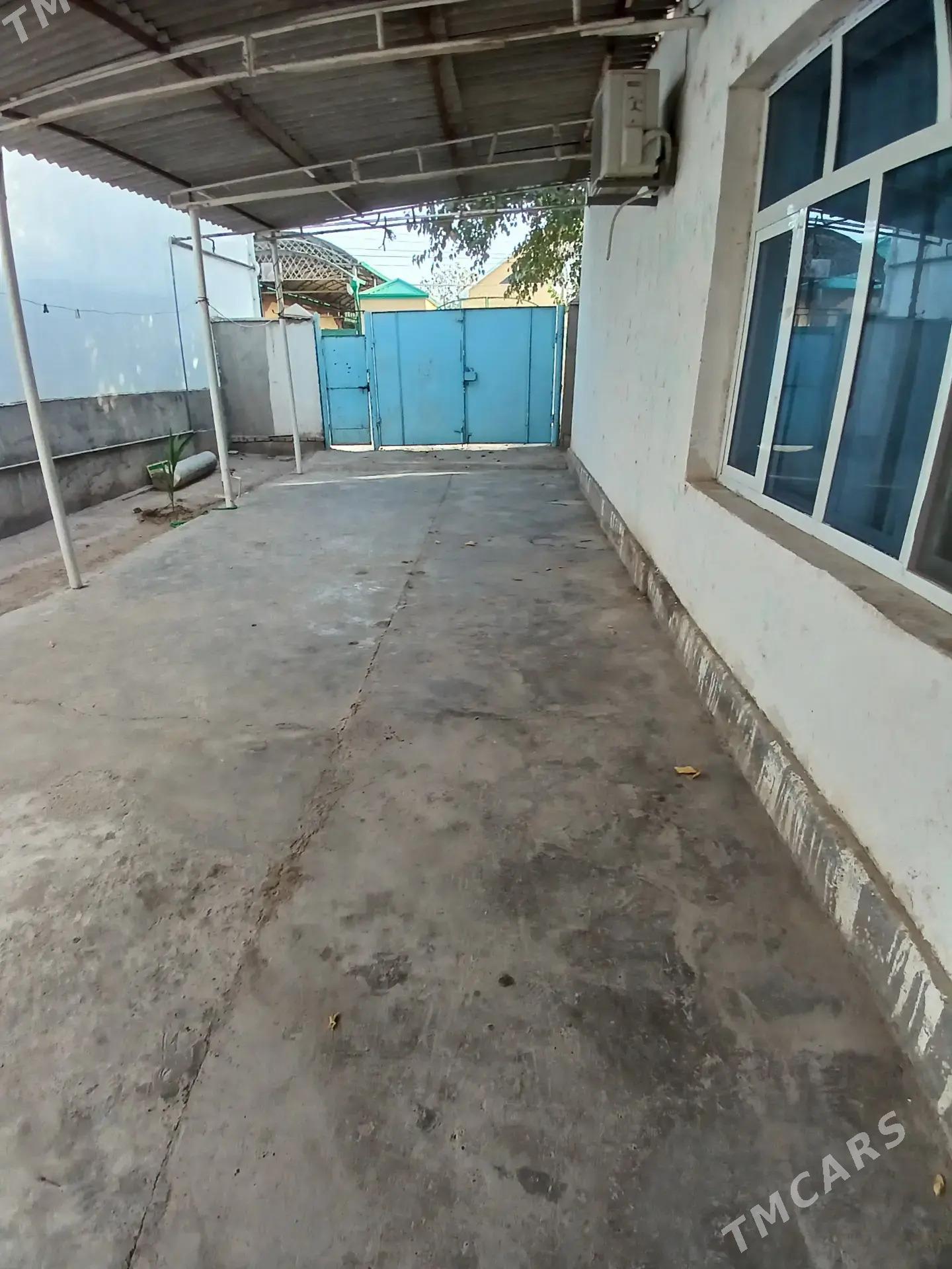 Satlyk Anew - Änew - img 4