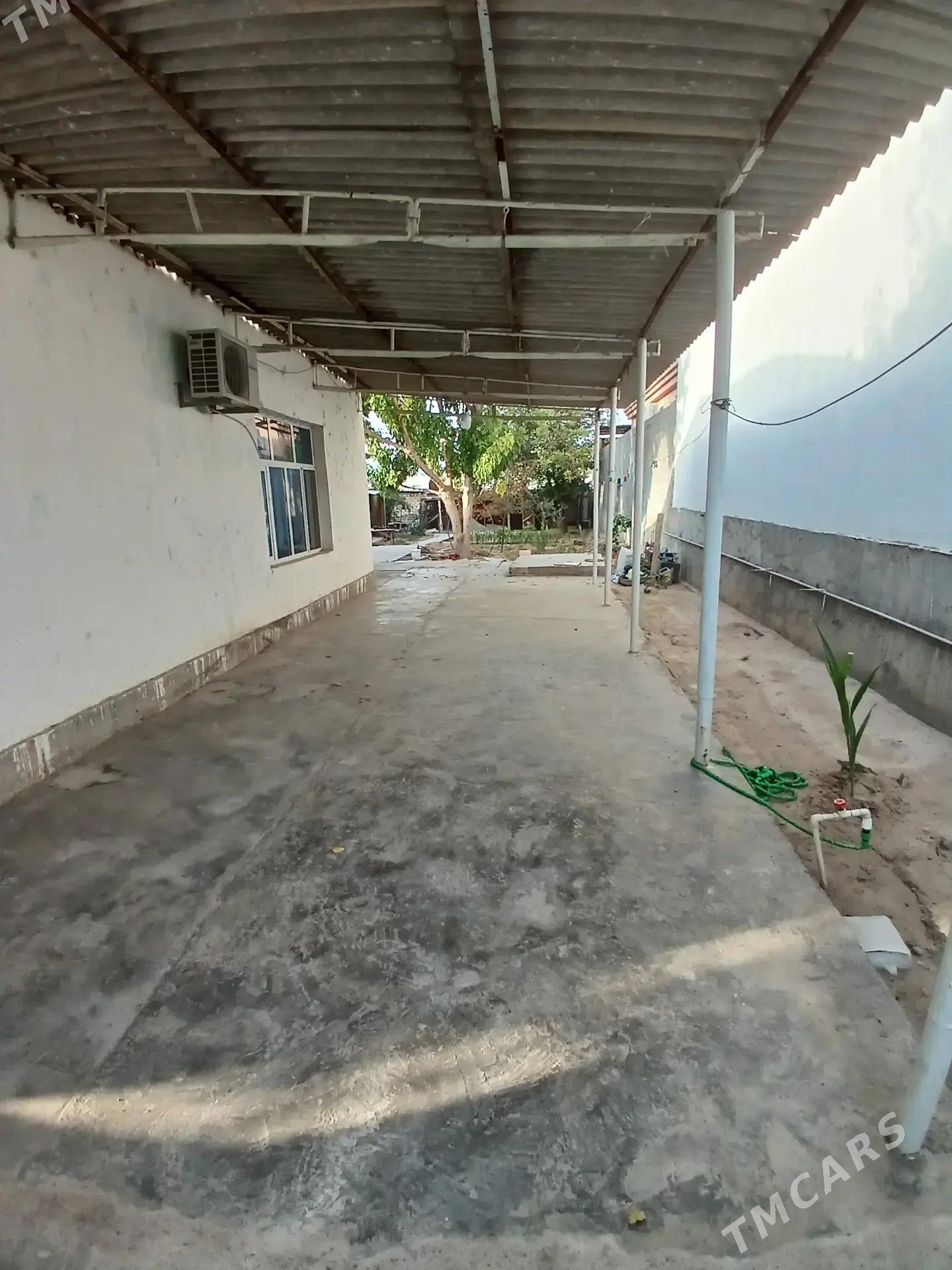 Satlyk Anew - Änew - img 2