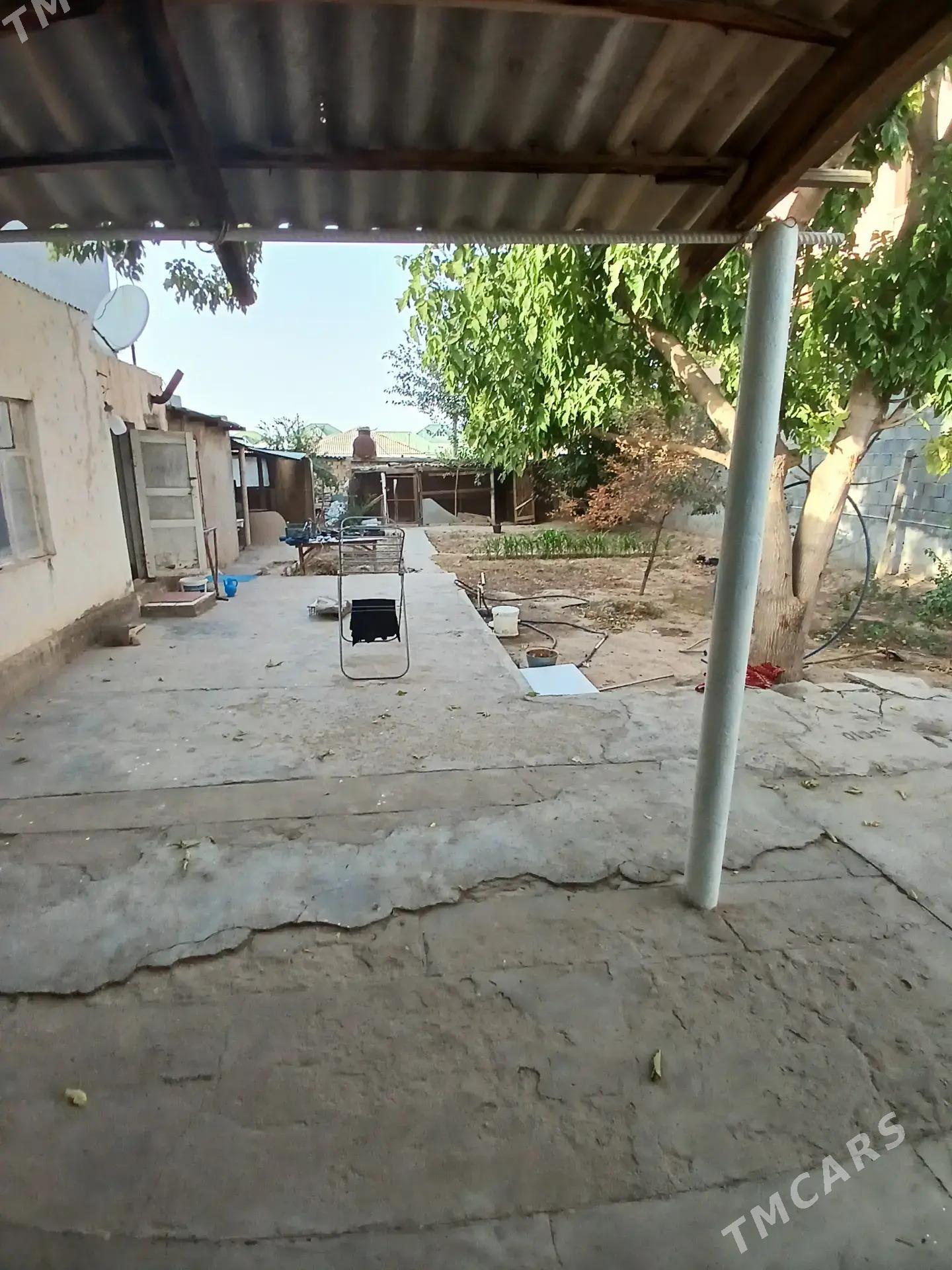 Satlyk Anew - Änew - img 6