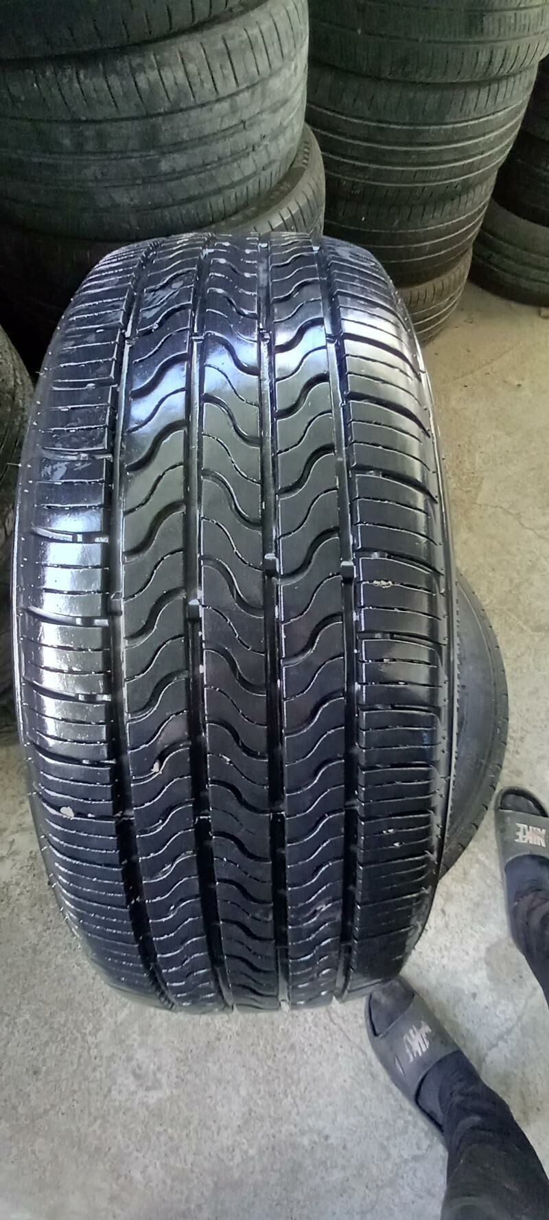 205-55-16 fireston 2023 250 TMT - Бедев - img 1